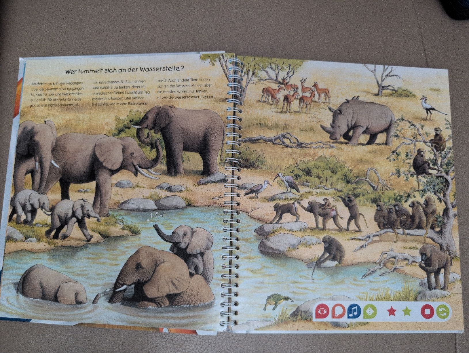 Libri: tiptoi Entdecke die Tiere Afrikas Buch – Usato da Schwerzenbach venduto da _charme_ 2