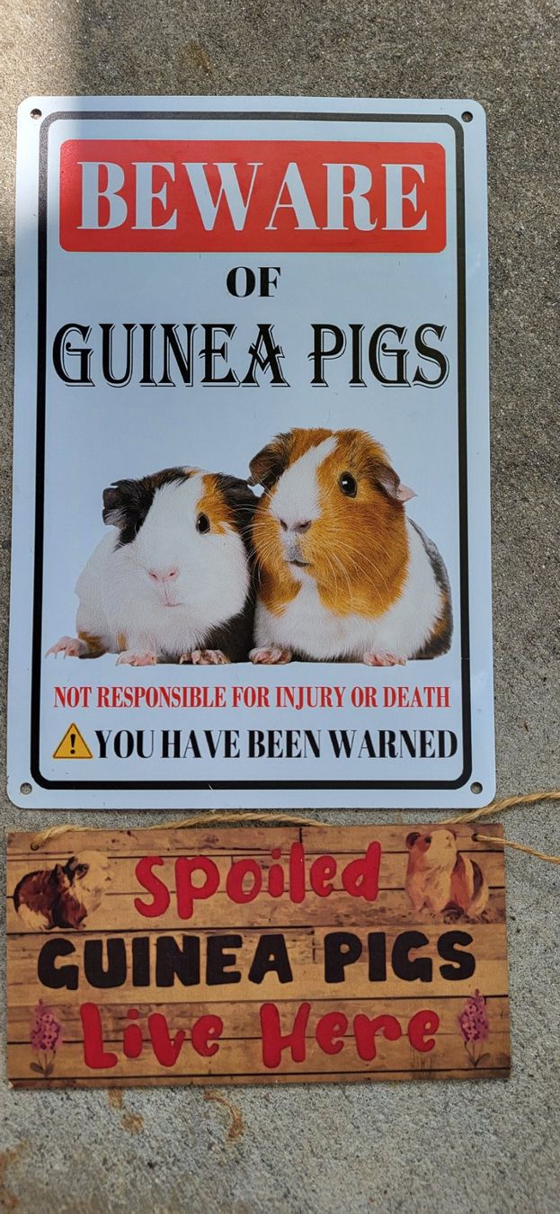 Insegne: Meerschweinchen Schilder – Usato da Duggingen venduto da lot-of-fun