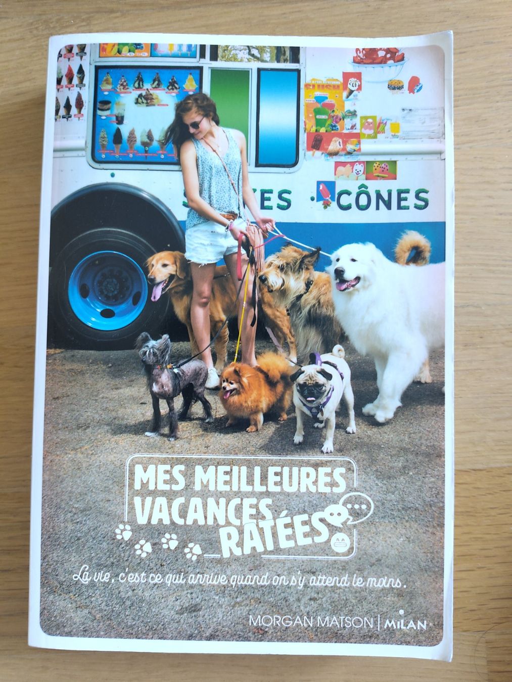 Libri: Mes meilleurs vacances raté – Usato da Denges venduto da lay_xpy7