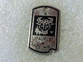 Ansteckpin 172: Taurus