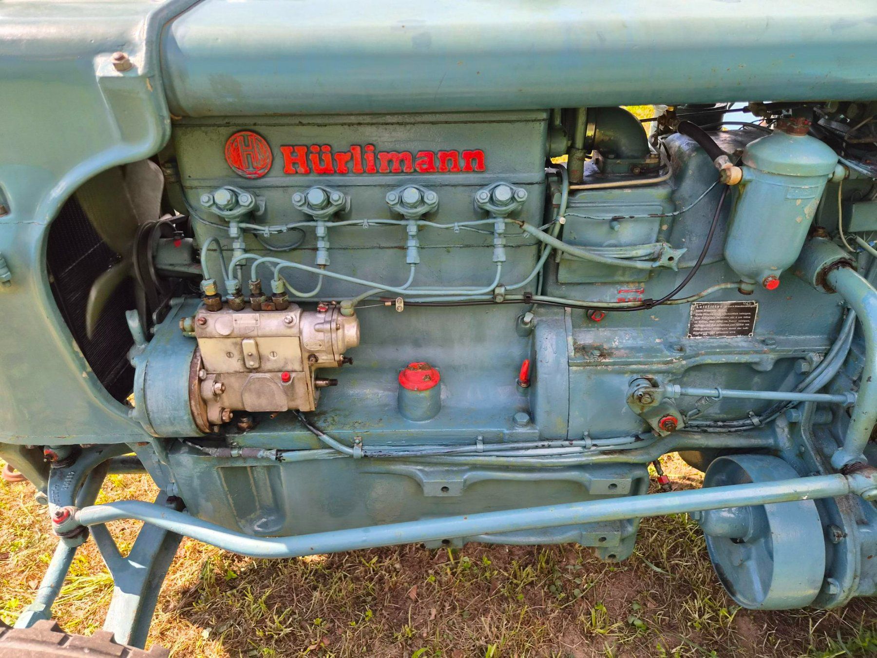 Traktoren: Oldtimer Traktor Hürlimann D60, Jg. 1954 – Gebraucht aus Dürnten von Bachtel84 3