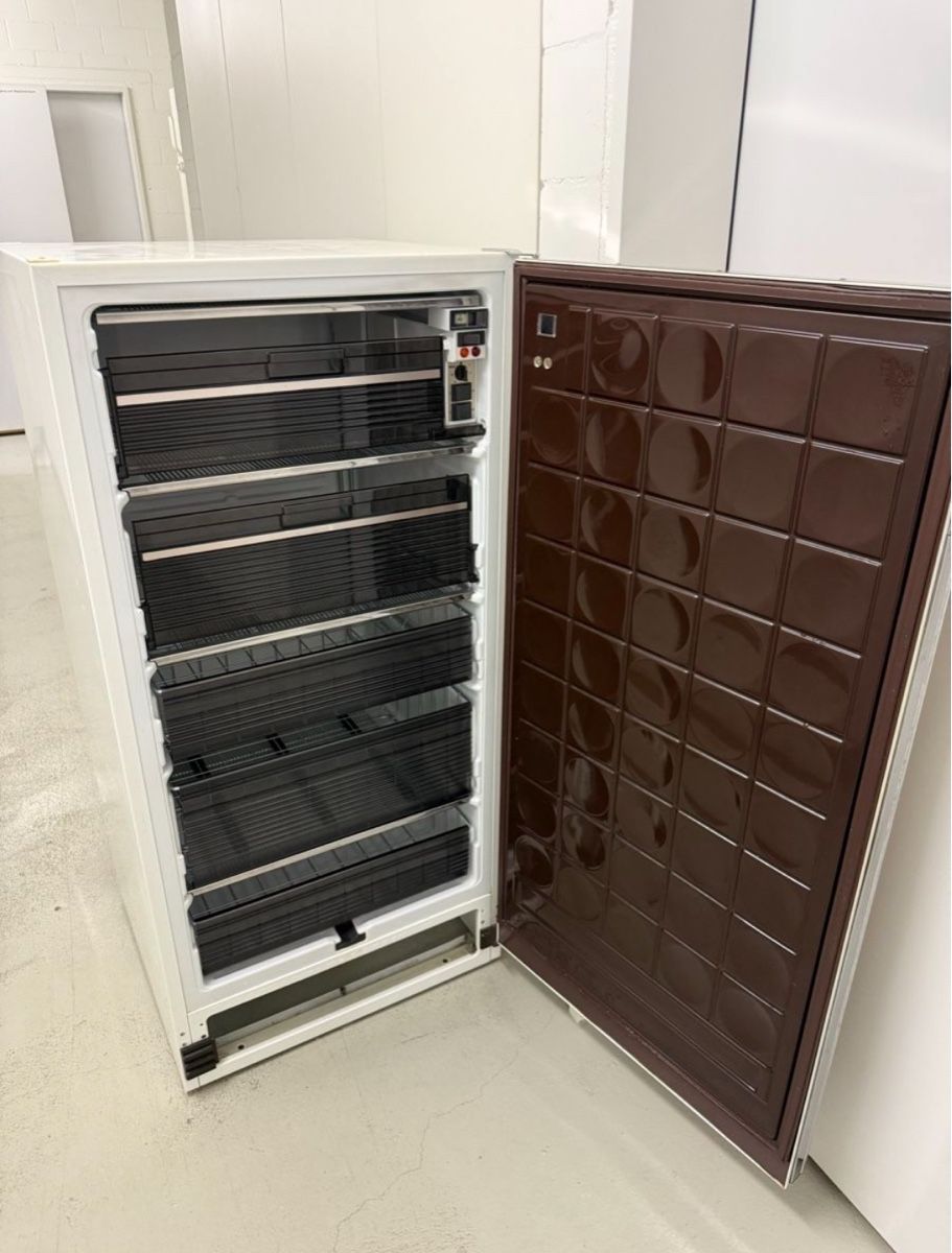Congelatori: Electrolux Gefrierschrank mit Schubladen – Usato da Uster venduto da sil_6ndz