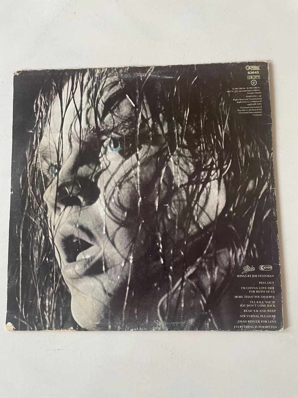 Schallplatten: Meat Loaf – Gebraucht aus Minusio von Pink222 1