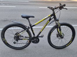 Wheeler Protron XT-40