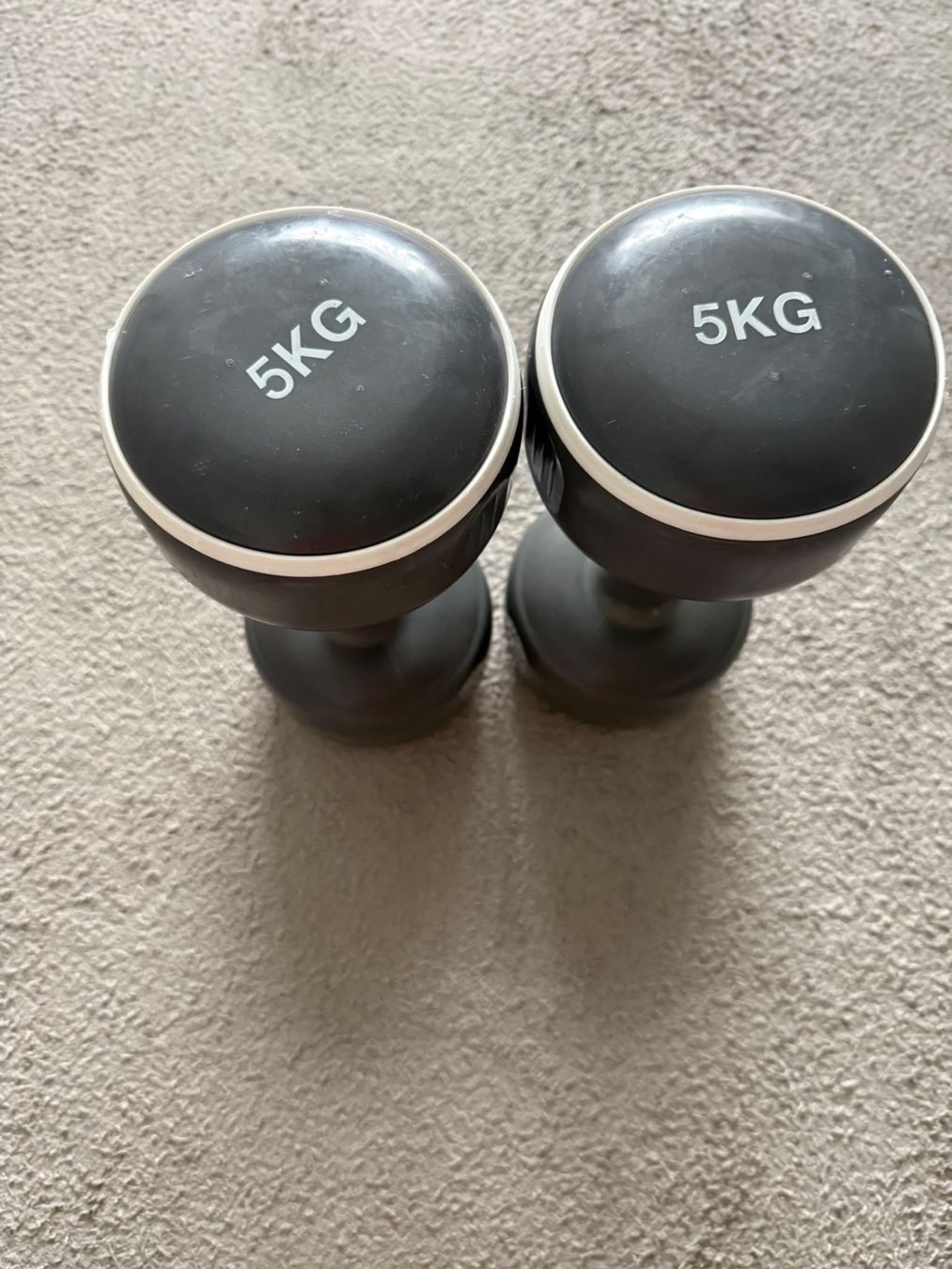 Manubri & Pesi: Hantel Set 2 x 5 kg gebraucht – Usato da Oberweningen venduto da Achille.3
