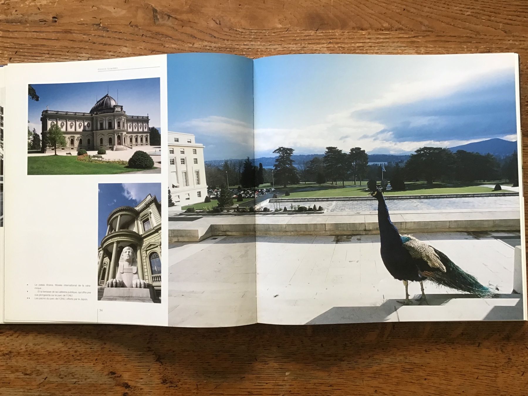 Libri: Malherbe/Klopmann Genève Lumières – Usato da Fully venduto da Ruby97 5
