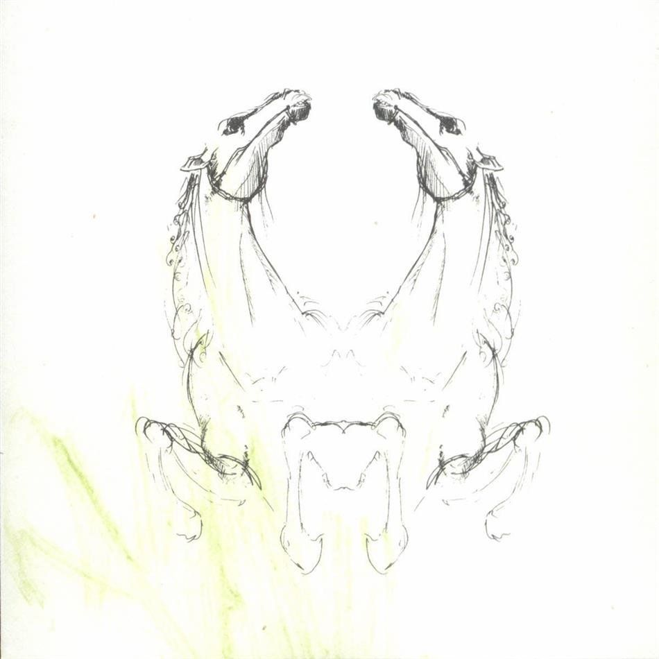 CD: My Brightest Diamond -Tear It Down - Remixes – Usato da Uzwil venduto da visions77