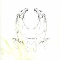 My Brightest Diamond -Tear It Down - Remixes
