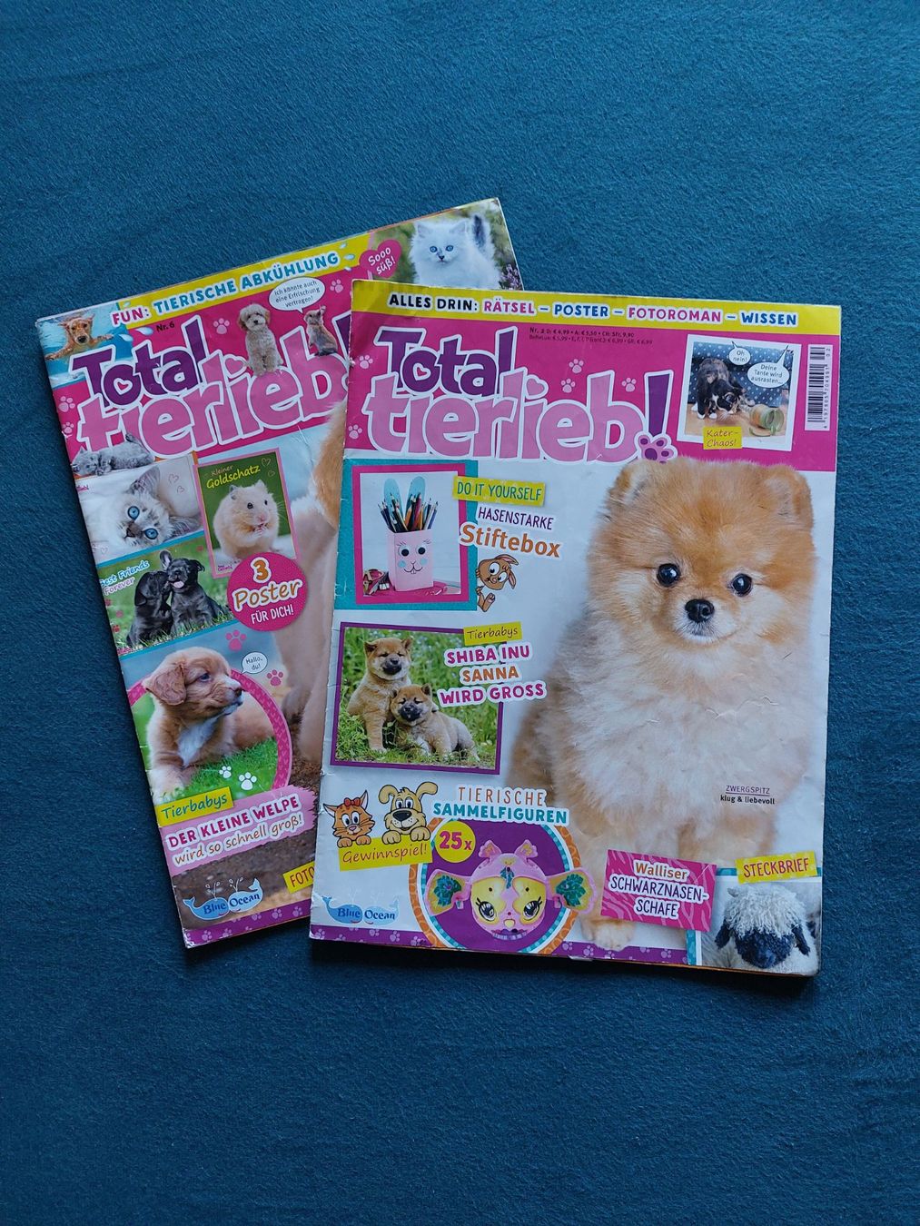 Riviste & Magazine: Mädchenzeitschriften – Usato da Ruswil venduto da hubakuck 2