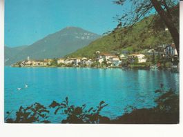 Brusino 1978