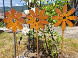 Rostblumen Gartenstecker Set 70cm