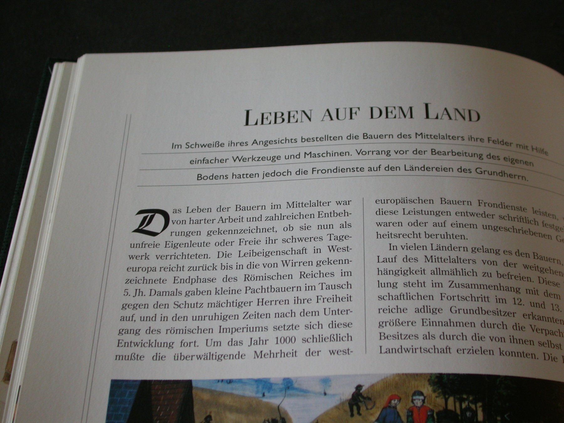 Bücher: Lebensalltag im Mittelalter – Gebraucht aus Zürich von Marcel6887 7