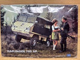 Haflinger steyr puch 