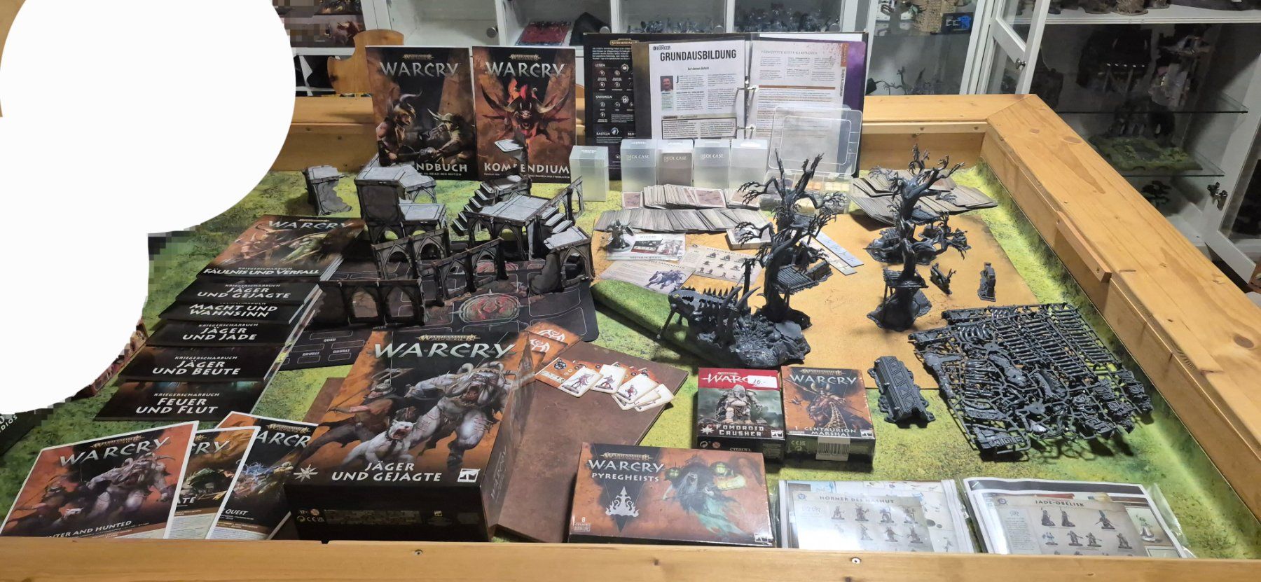 Giochi: Riesiges Warhammer Warcry Paket (2. Edition) – Usato da Schöftland venduto da Hauistein
