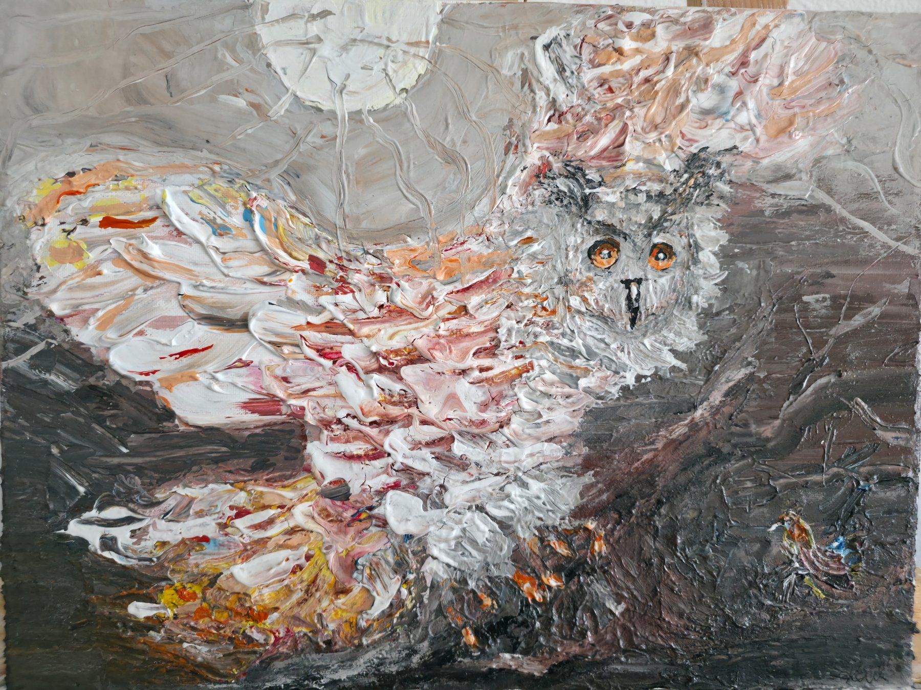 Dipinti: Original Owl Painting by Kail – Usato da Zürich venduto da kam_jq7s