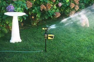 Sistemi d'allarme: Mit Wasser Katzen verteiben/Solarbetrieb – Nuovo e nell'imballaggio originale da Arth venduto da 100i 5