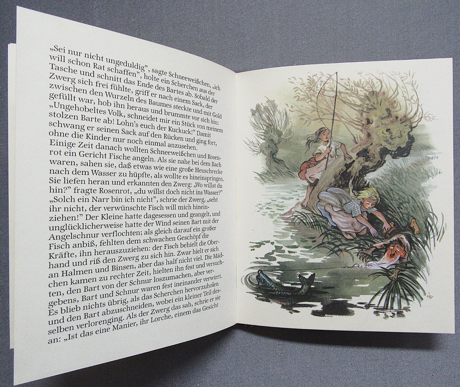 Bücher: Schneeweischen und Rosenrot - wunderschön illustriert – Gebraucht aus Auenstein von Padabimbim 6