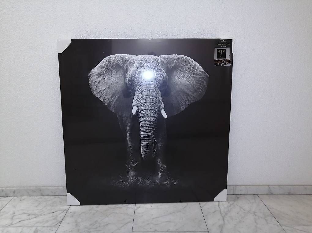 Posters & Illustrations: Bild Elefant 100 x 100, neu, Originalverpackt – D'occasion à Riehen par Ricardolix 1