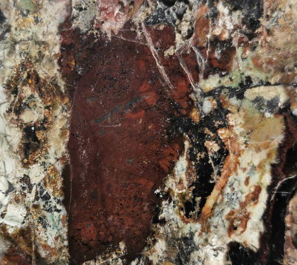 Fossili: Opalisiertes Versteinertes Holz poliert – Nuovo (secondo la descrizione) da Walenstadt venduto da vkt_qc8d 2
