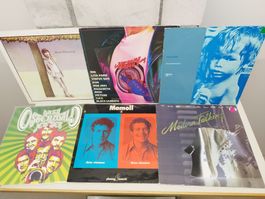 Diverse Schallplatten Sammlung, verschiedene Genres, 12 Stk
