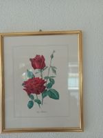3er Set Vintage Rosenbilder mit goldenem Rahmen, Top!