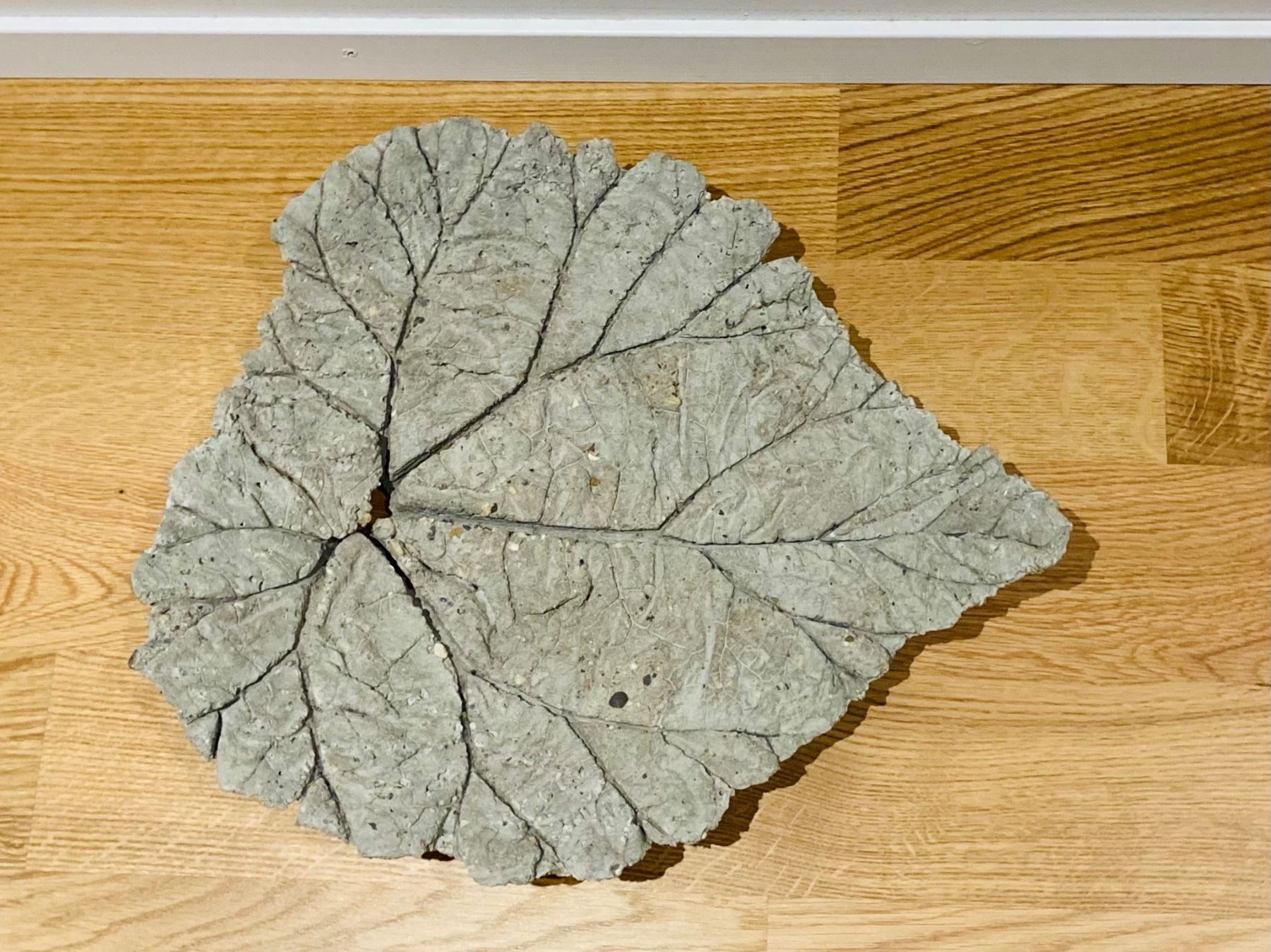 Alle Dekorationen: Dekoschale in Blattform aus Beton – Gebraucht aus Ostermundigen von Chuerbis
