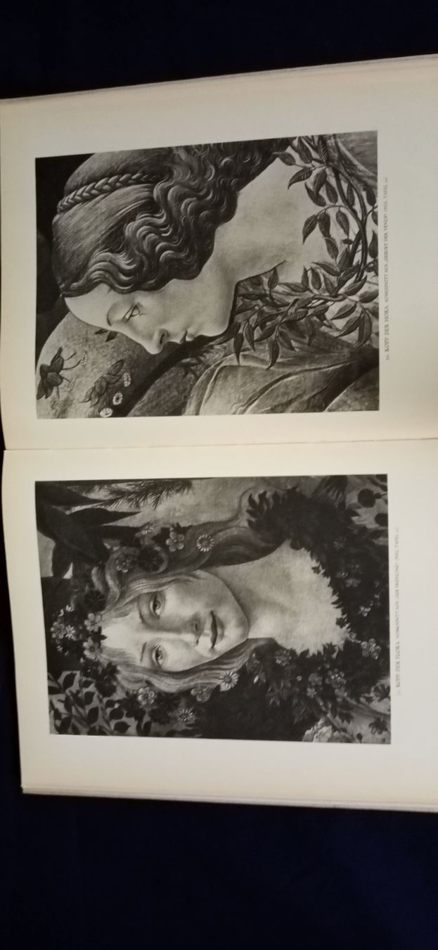 Libri: Botticelli , Bildband – Nuovo (secondo la descrizione) da Büsingen venduto da Flohminator 9