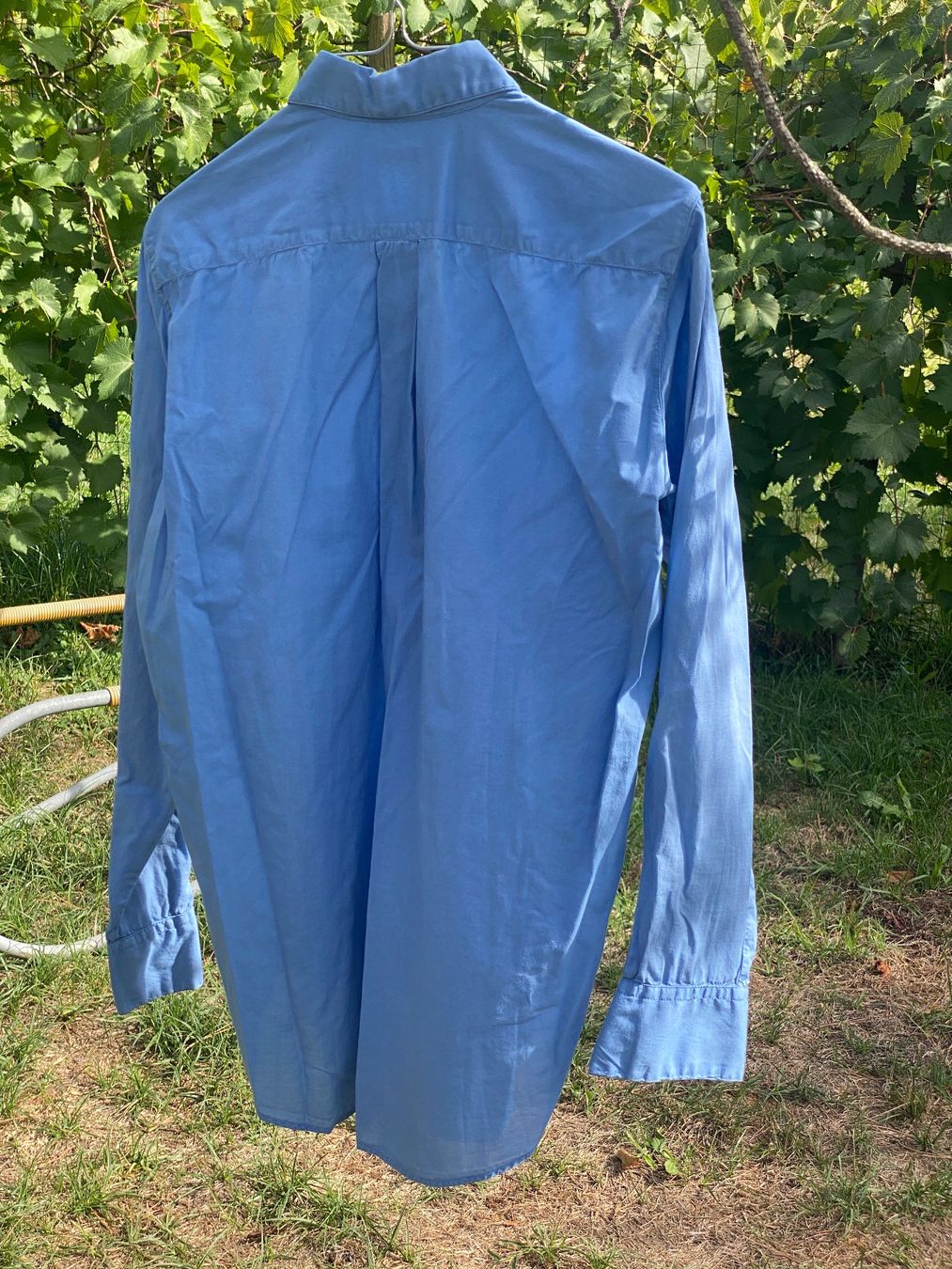 Camicette: Bluse BAGUTTA – Usato da Zuerich venduto da 1916Dada 4