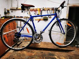 Blaues California Velo Top Zustand
