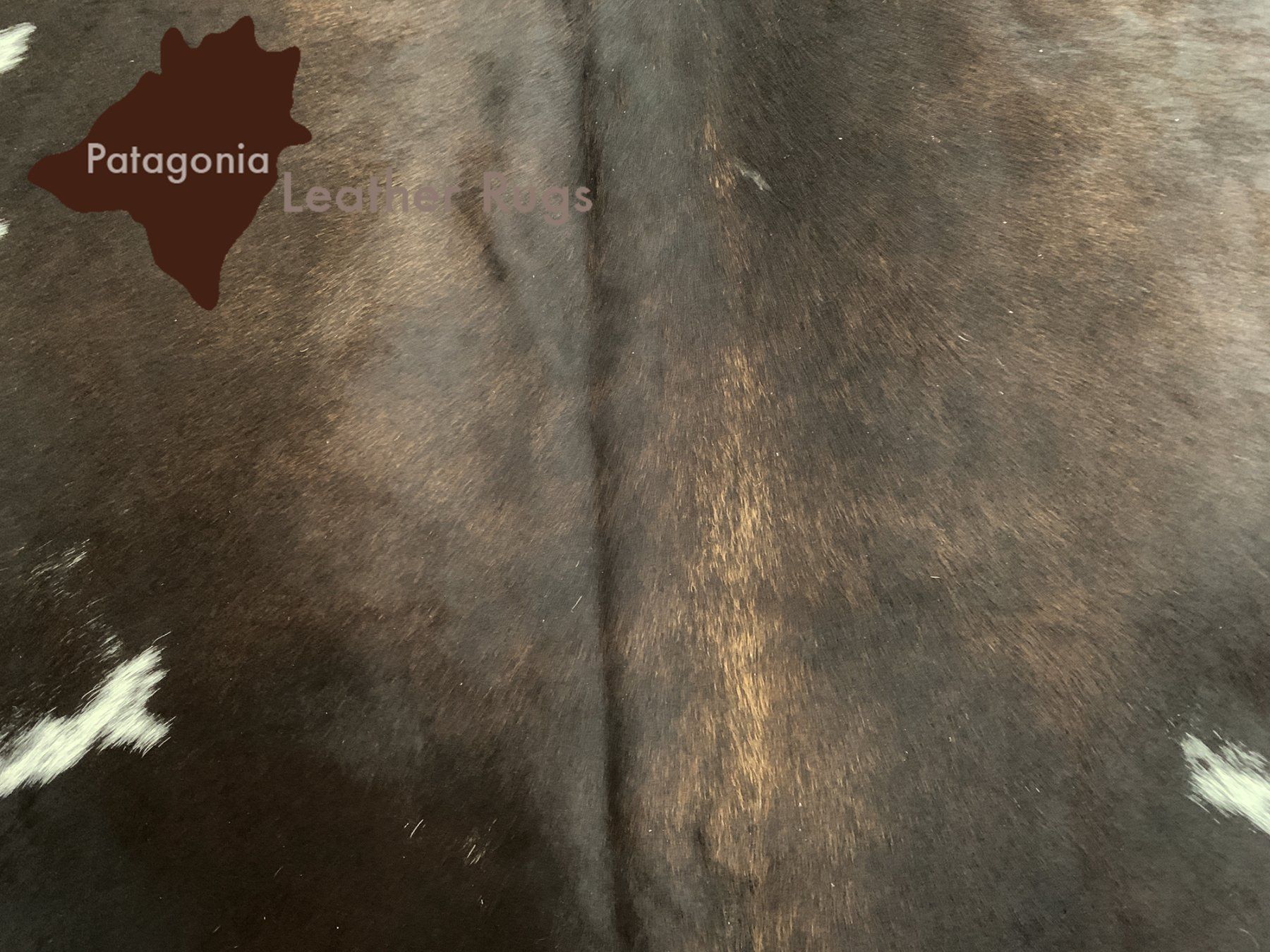 Tappeti: echtes Kuhfell Teppich exotic Tricolor – Nuovo e nell'imballaggio originale da Arbedo venduto da patagonialeatherrugs 1