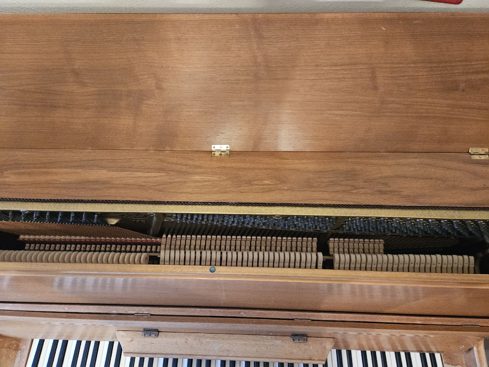 Schmidt-Flohr Strumenti musicali: Klavier Schmidt-Flohr mit Gebrauchsspuren – Usato da Danis venduto da and_5kkz 3