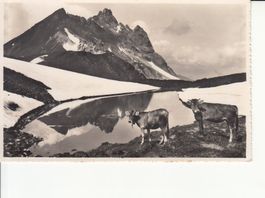 Parsenn 1958