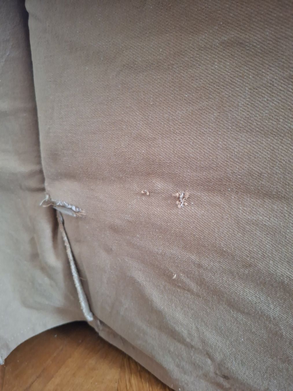 Ikea Divani: IKEA EKTORP Bettsofa mit Bettkasten – 165x200 cm Liegefläche – Usato da Döttingen venduto da M.kiss 5