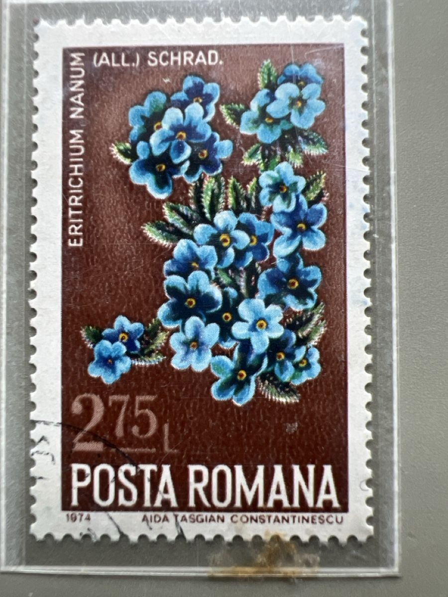 Tutti i francobolli: Briefmarken Rumänien  – Usato da Glattbrugg venduto da Artos67 5
