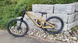 Downhillbike Rose Scrub DC 1 Gr. M Vanilla