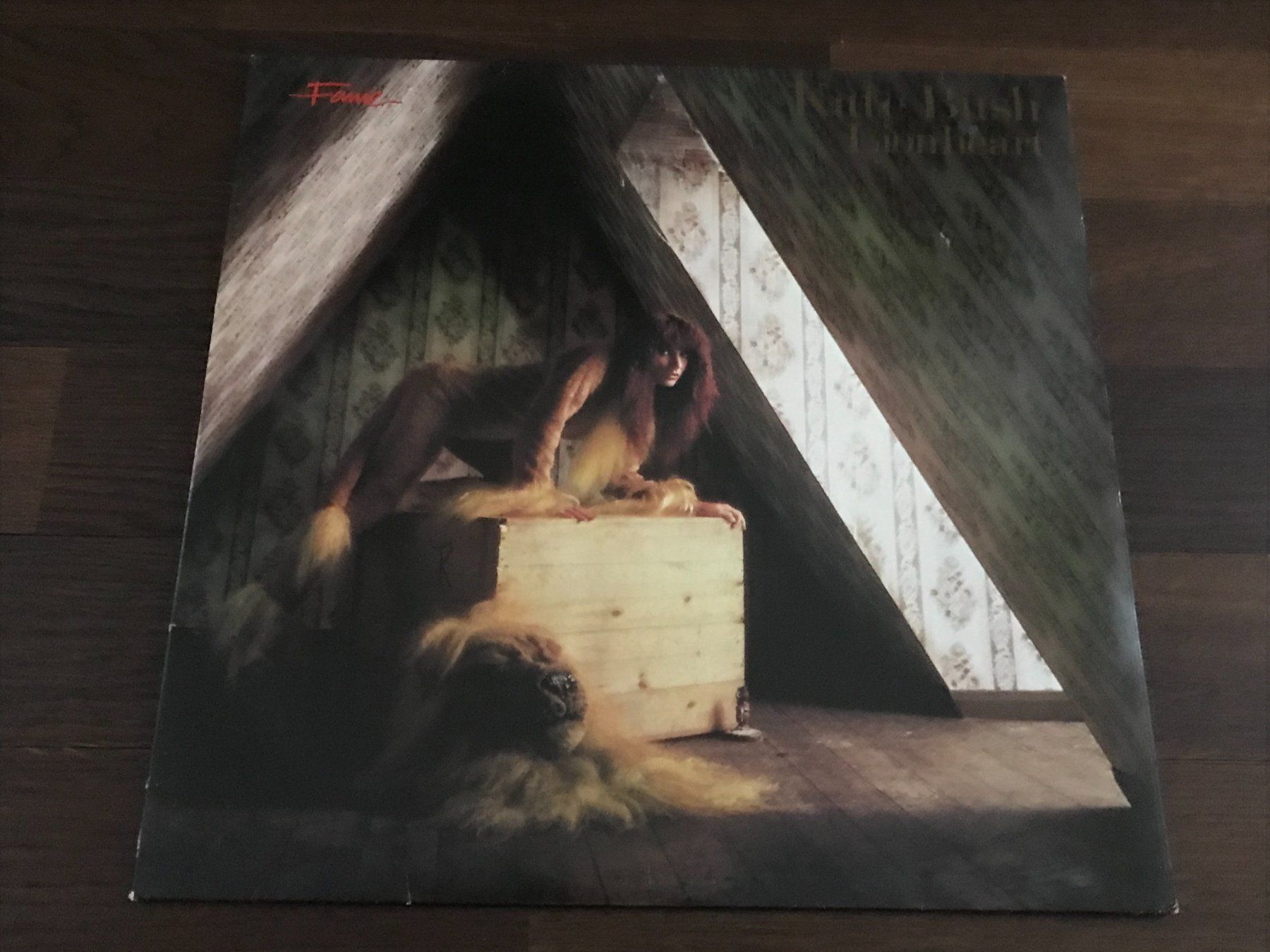 Schallplatten: KATE BUSH - Lionheart – Gebraucht aus Buchs AG von Archie