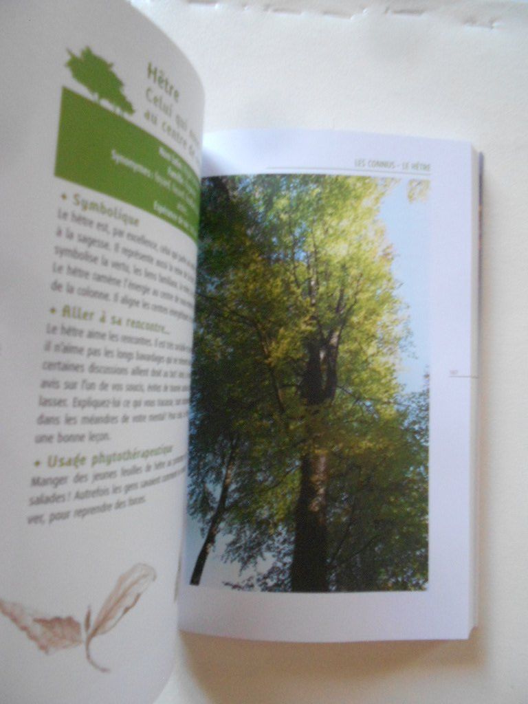 Bücher: GUIDE DES ARBRES EXTRAORDINAIRES DE SUISSE ROMANDE – Gebraucht aus Bex von Giorgiob 3