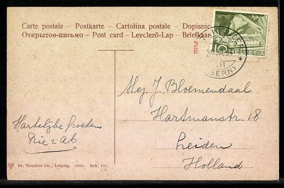 Cartoline postali: AK Meiringen, Bernerhaus, Ortspartie – Usato da Berlin venduto da bartko-reher 1