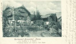 AK AARAU RESTAURANT BINSENHOF 1901