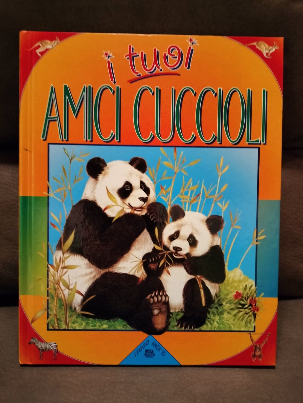 Libri: I tuoi amici cuccioli – Usato da Capolago venduto da sco_7ywt