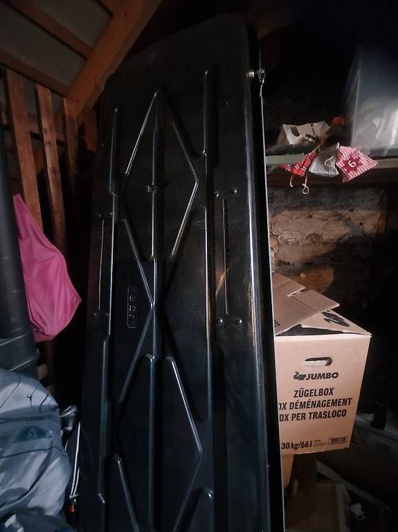 Box da tetto: THULE ALPINE 500 Dachbox – Usato da Thun venduto da Mia7374 2