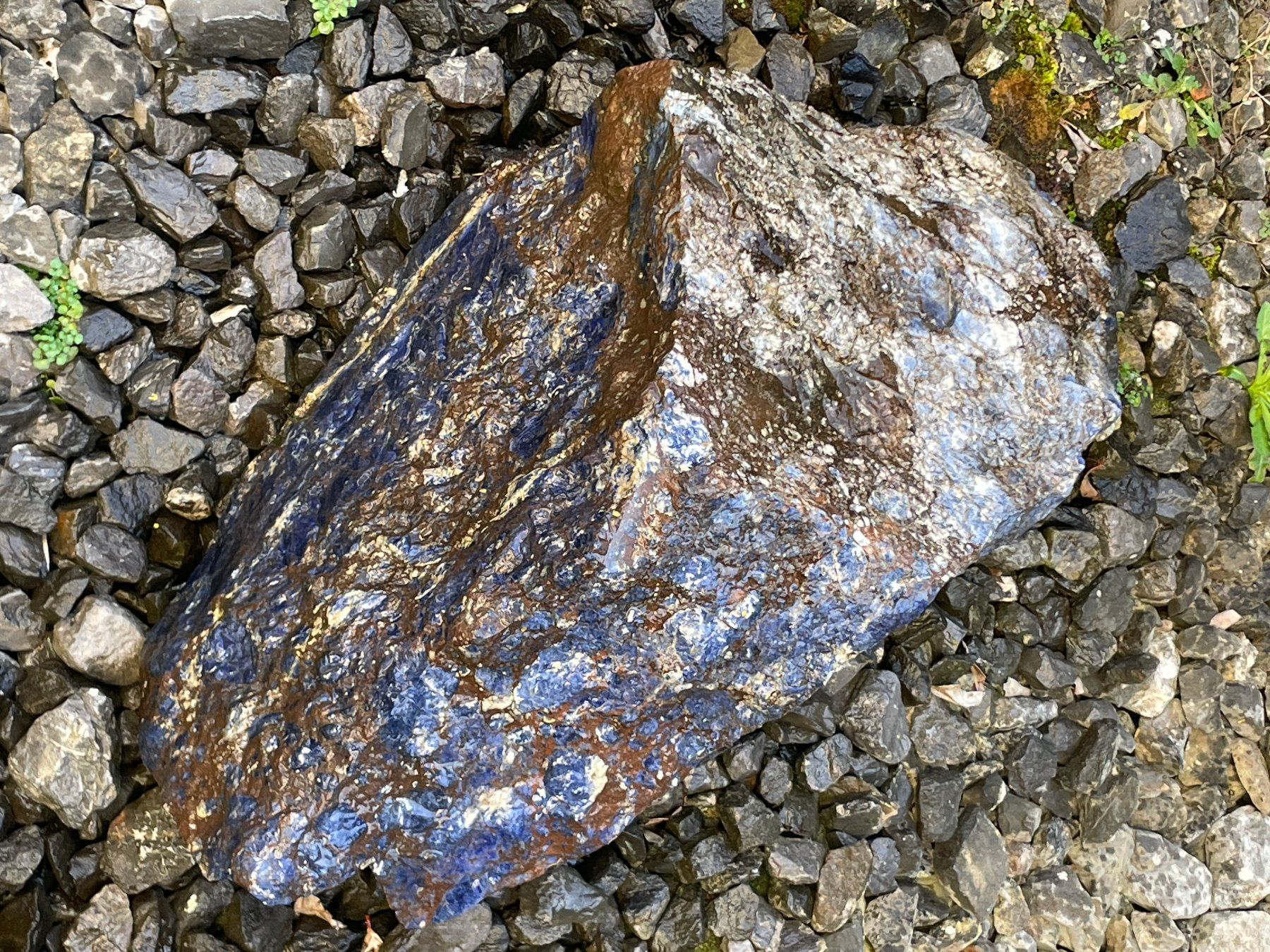 Mineralien & Heilsteine: Sodalith – Neu (gemäss Beschreibung) aus Winkel von cma_df88 6
