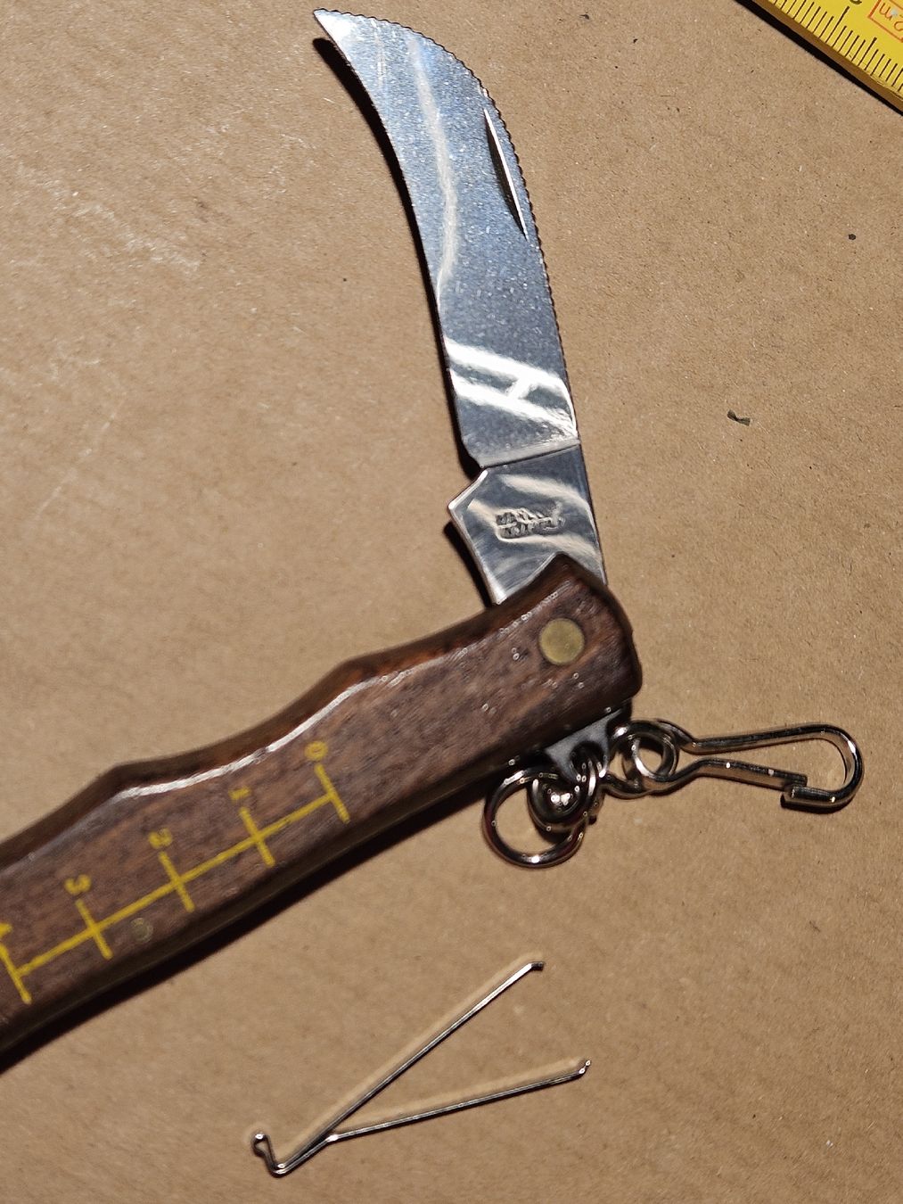 Deejo Coltelli tascabile: PILZMESSER MIT PINZETTE . – Nuovo (secondo la descrizione) da Maschwanden venduto da OliverM05 5