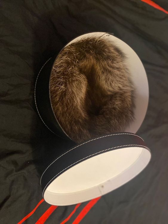 Chapeaux, bonnets & casquettes: Waschbärmütze – D'occasion à Wöschnau par ramires_guitar 3
