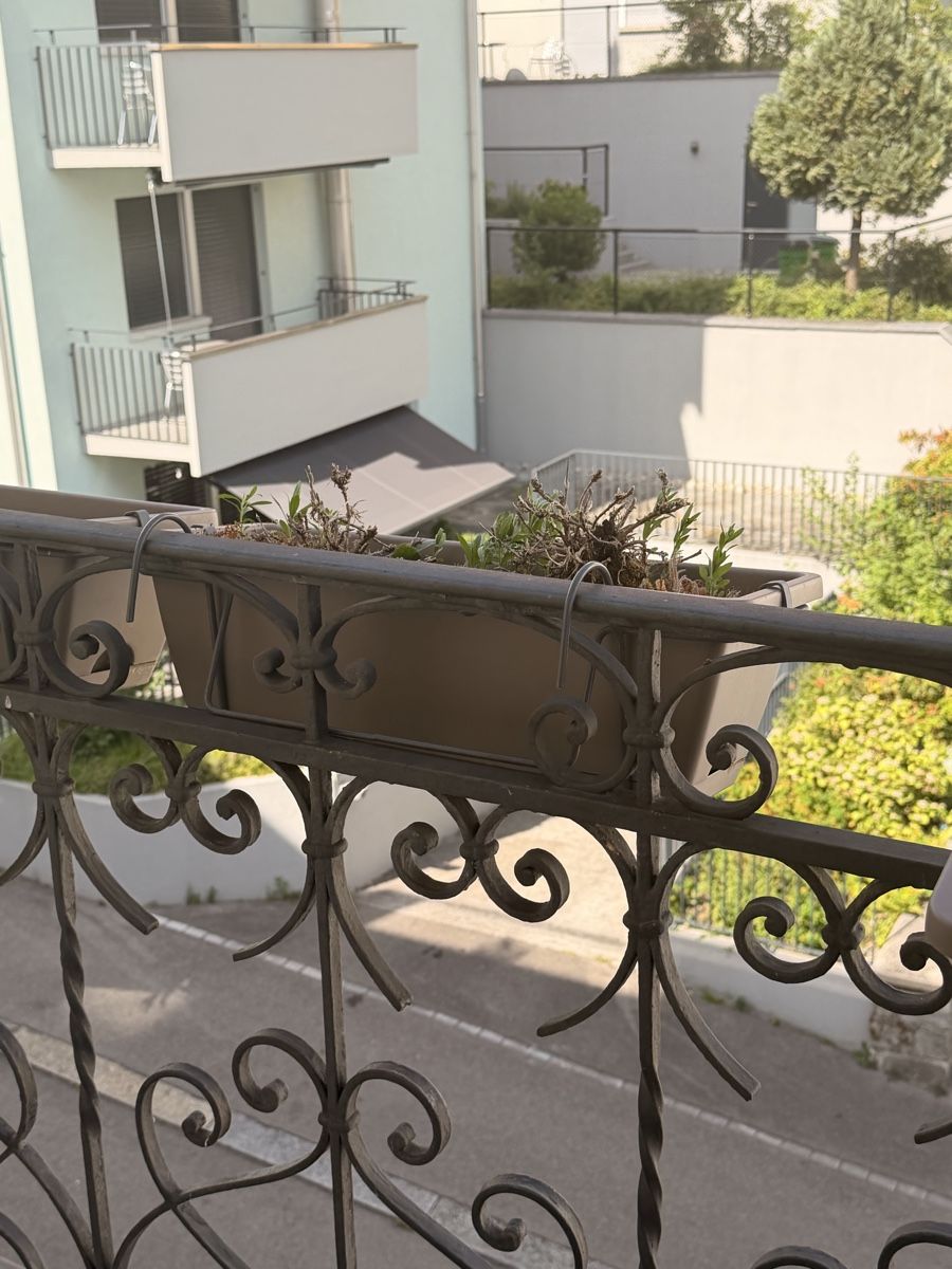 Vasi per fiori: Blumenkasten – Usato da Zürich venduto da wil_ysg8 1