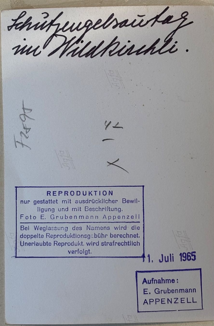 Cartoline postali: E. Grubenmann, Appenzell, Wildkirchli, Schutzengelsonntag – Usato da Frauenfeld venduto da Merk52 1