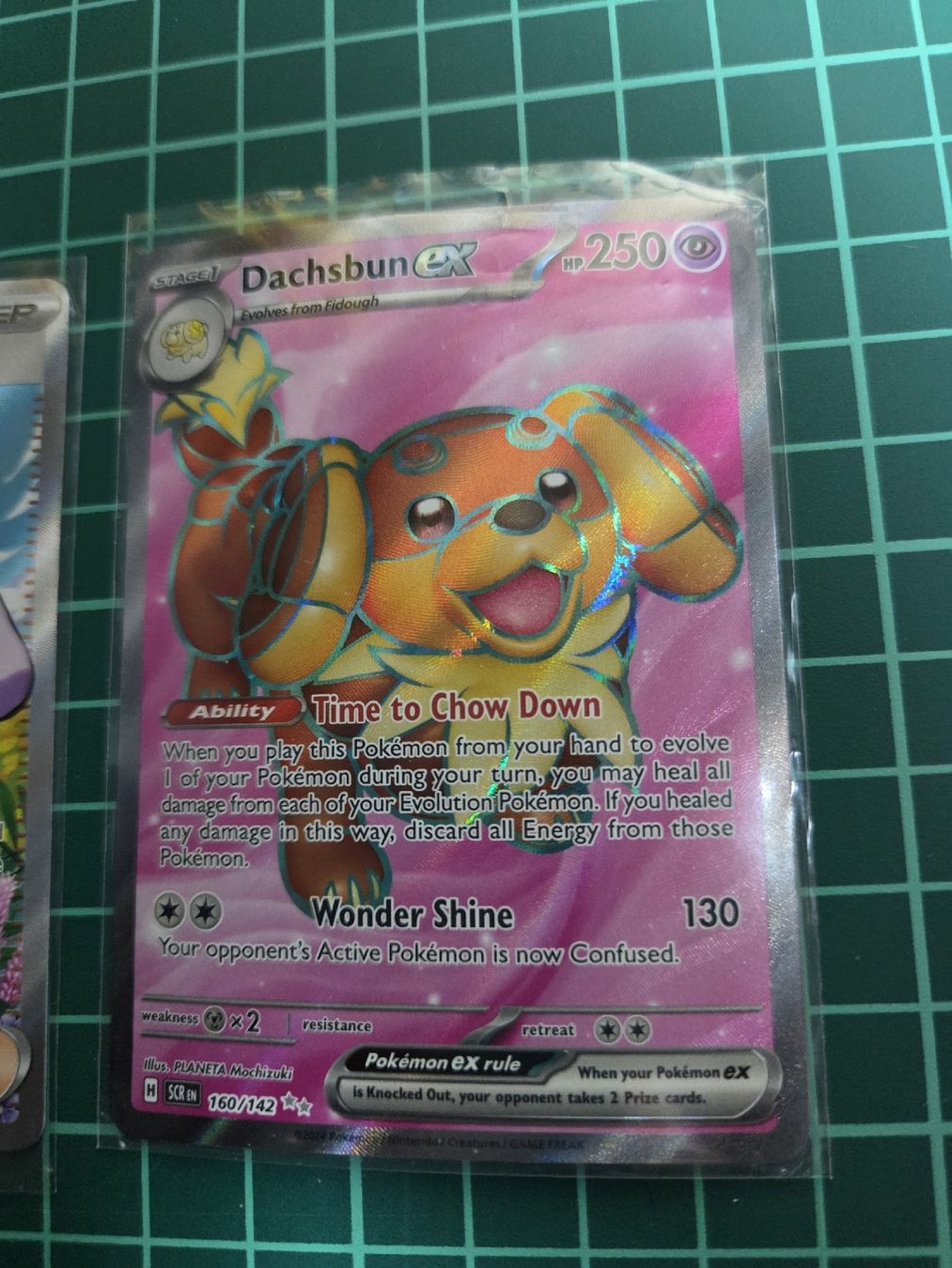 Pokémon Cartes à collectionner: Pokemon Karte Dachsbun EX Trainer Tara Cute Bundle – Neuf (Voir description) à Elgg par Darkvoid1991 3