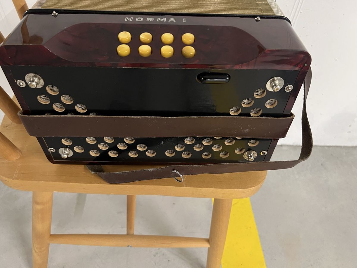 Hohner Strumenti musicali: Antiker Handorgel Hohner Norma I – Usato da Meilen venduto da PCFlugi 3