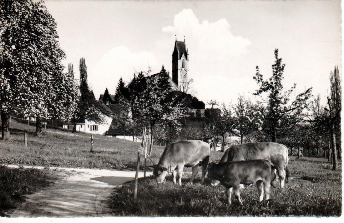 Cartes postales: Männedorf  1953 – D'occasion à Wolhusen par Curver9