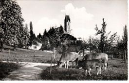 Männedorf  1953